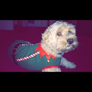 Meet your Posher, Cassidy